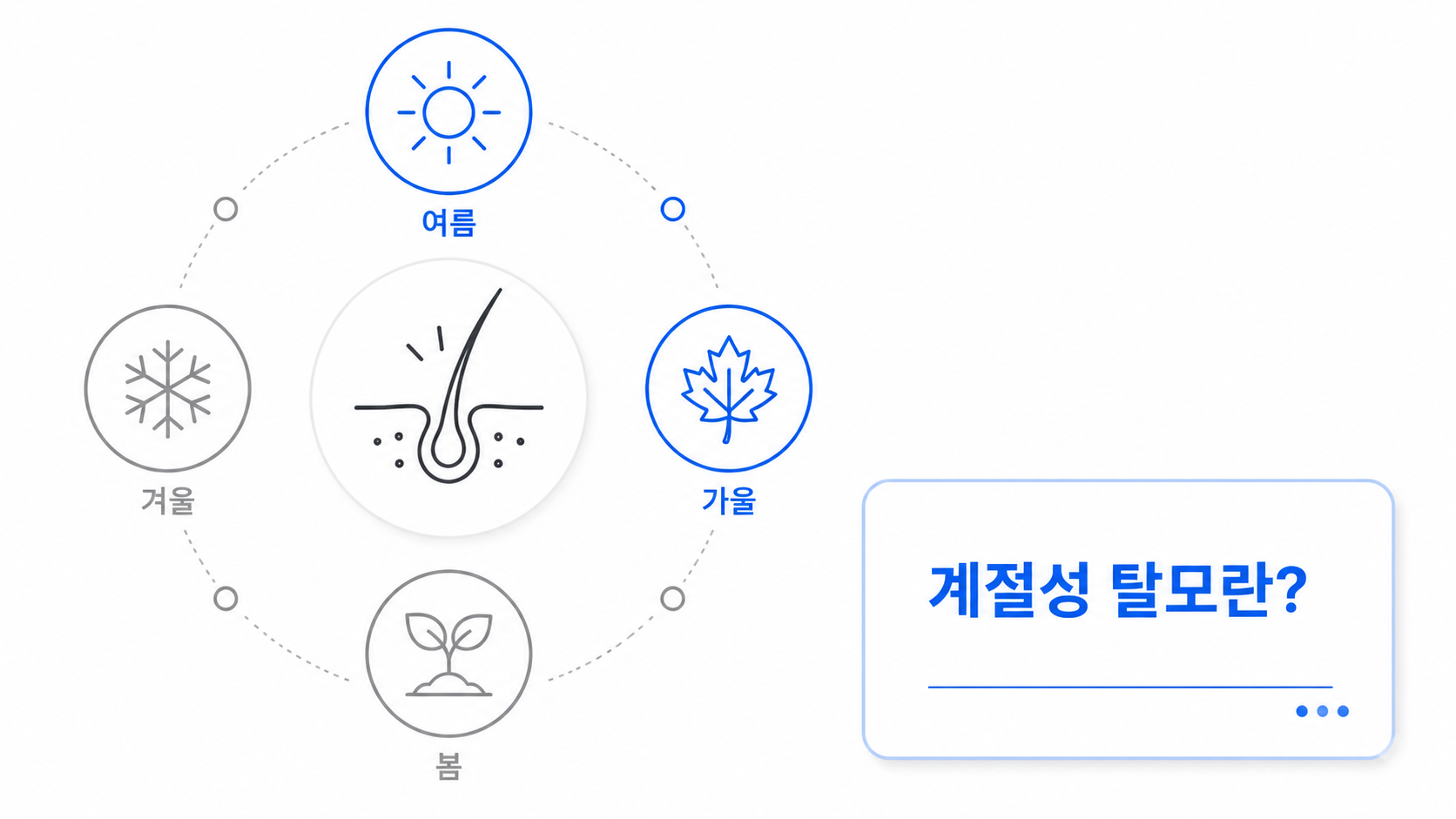 계절성 탈모