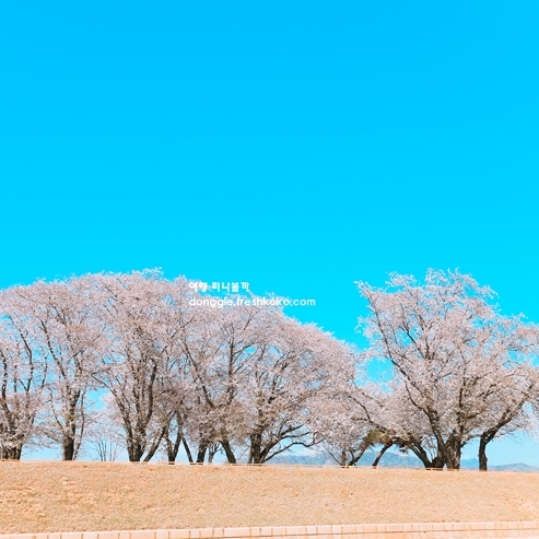 전라도 봄 여행지 추천