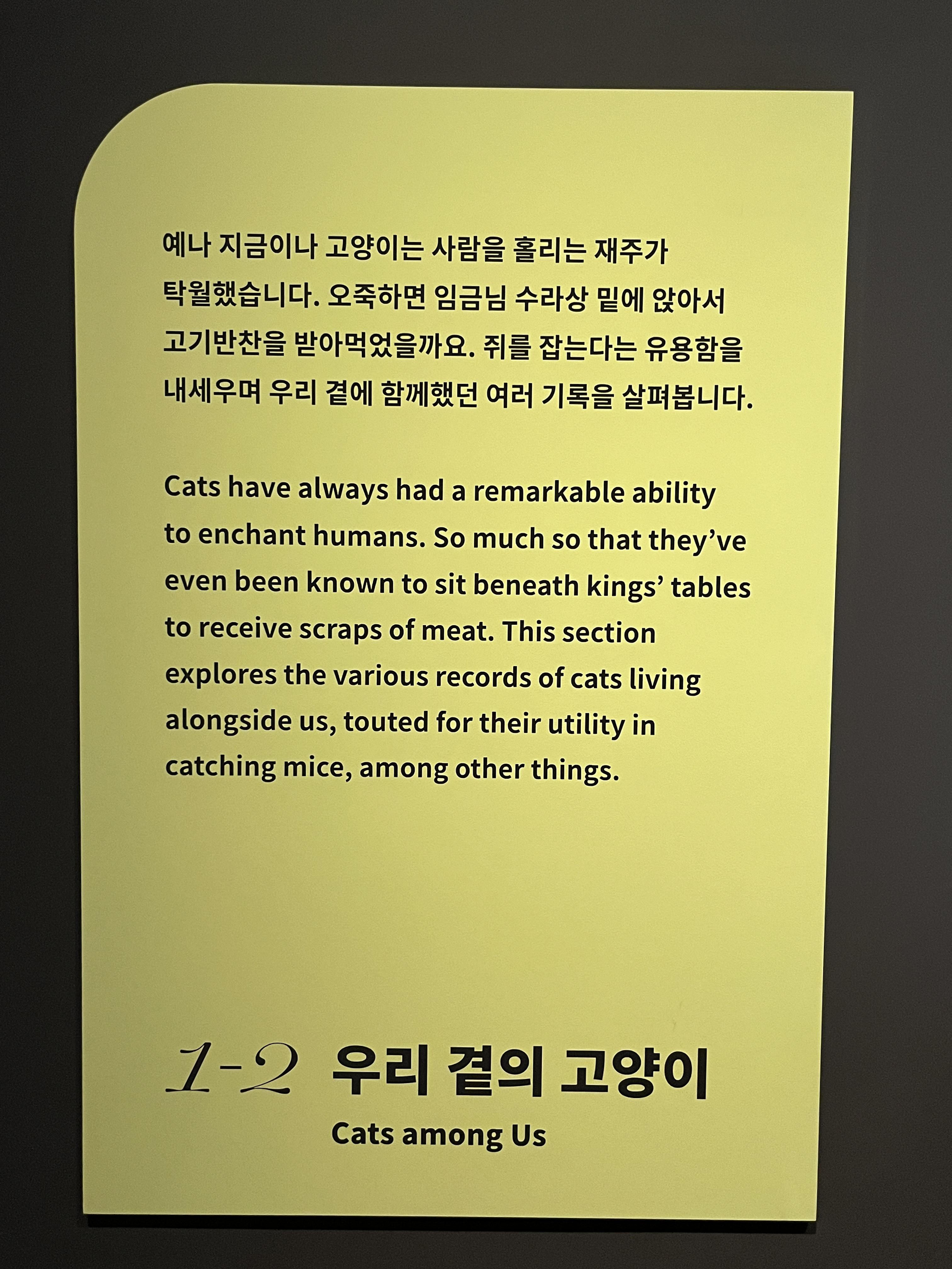 요물 우리를 홀린 고양이