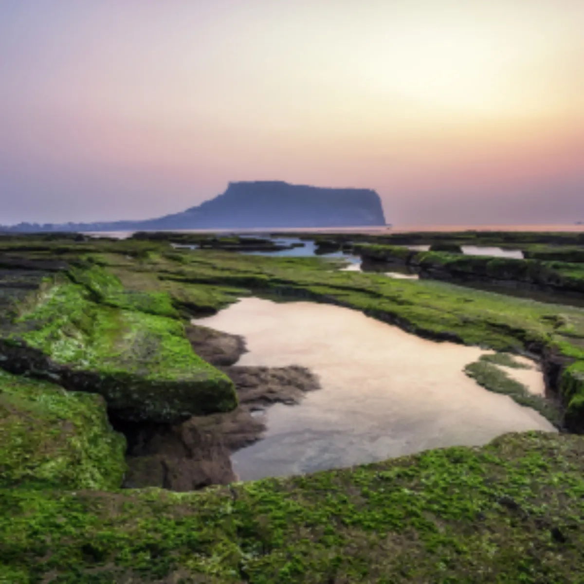 2025년 새해 일출 명소