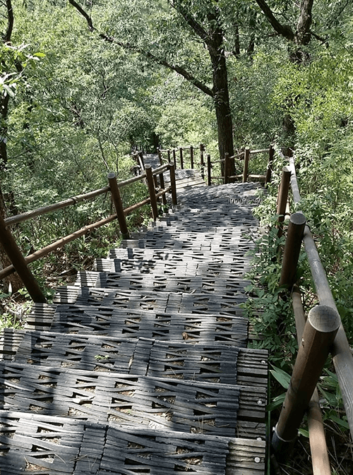 서래봉12