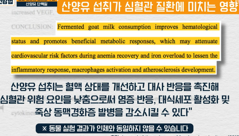 산양유 단백질 효능