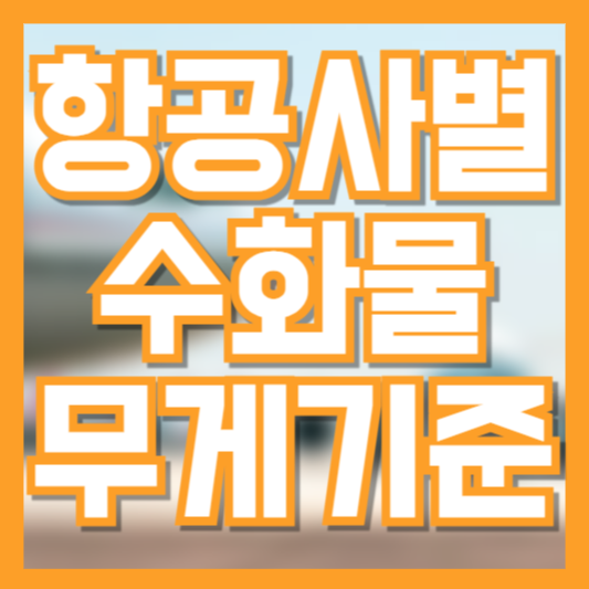 비행기 항공사 수화물 무게 기준 비용!