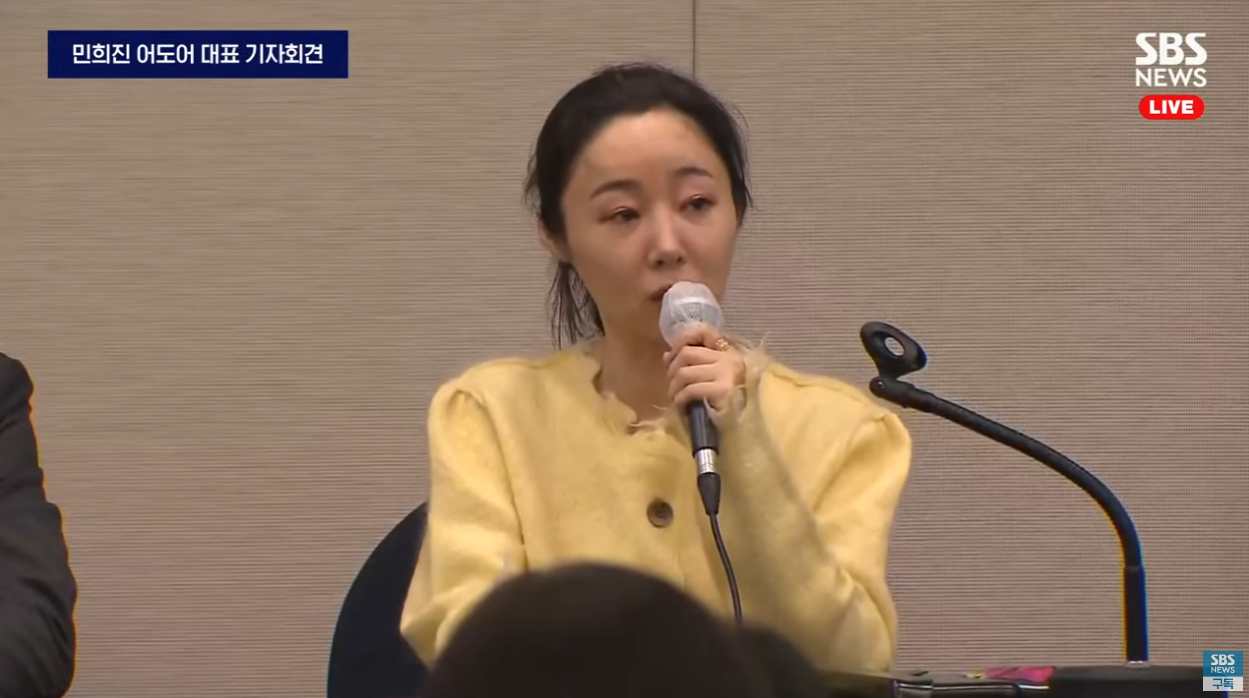 민희진 기자회견 입장 정리