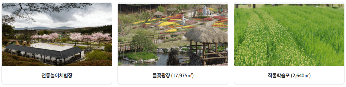 용인농촌테마파크 예약