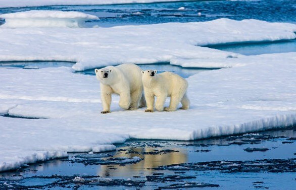 노르웨이 스발바르 북극의 끝을 향한 여행