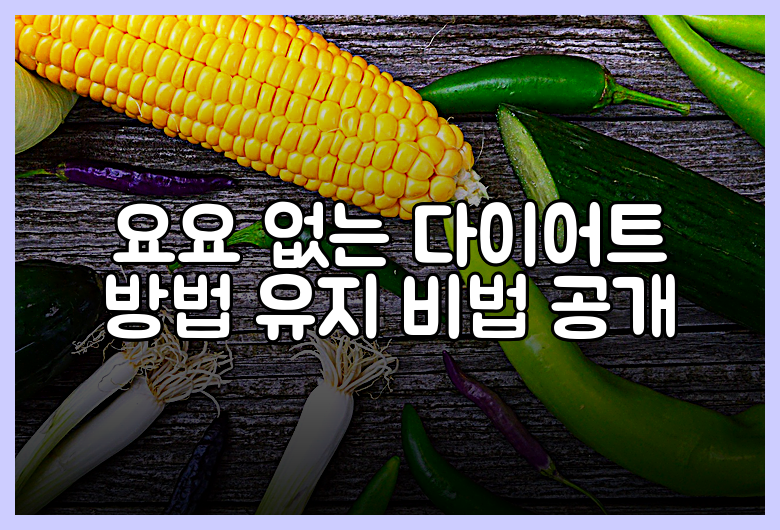 요요 없는 다이어트 방법 유지 비법 공개