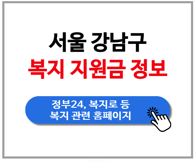 [서울특별시 강남구] 지자체 보조금 정보