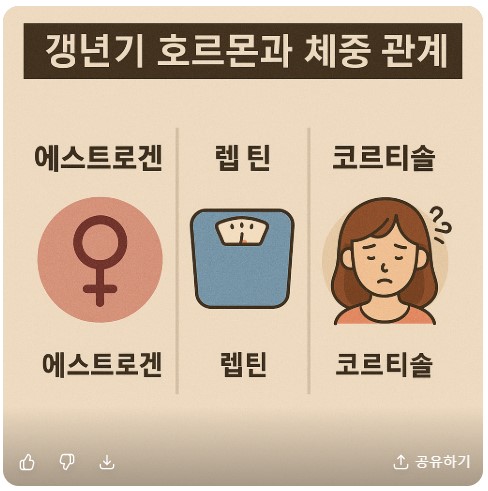 갱년기 호르몬과 체중관계 이미지