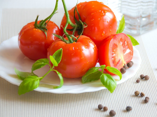 토마토 달걀볶음 요리