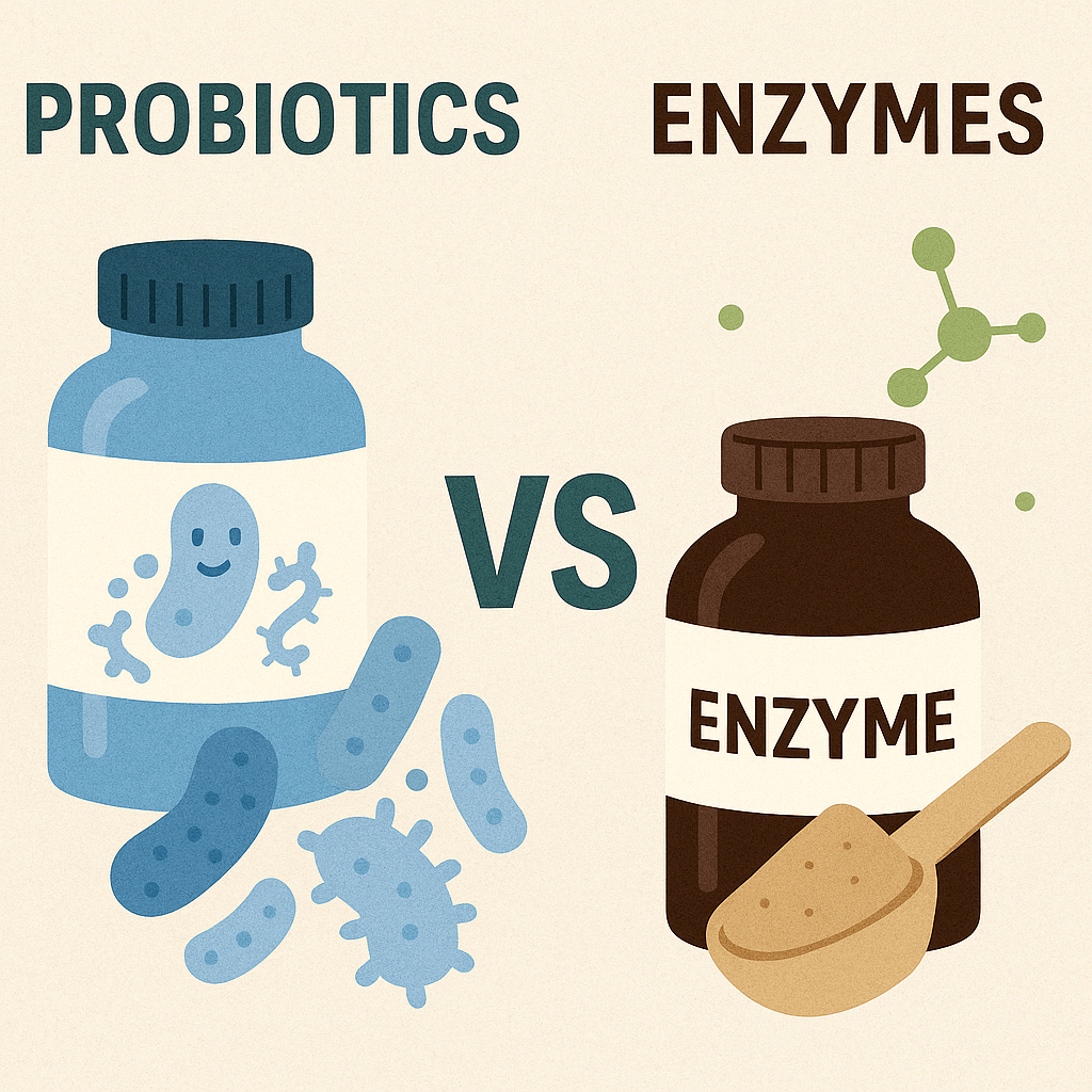 유산균과 효소를 비교하는 이미지