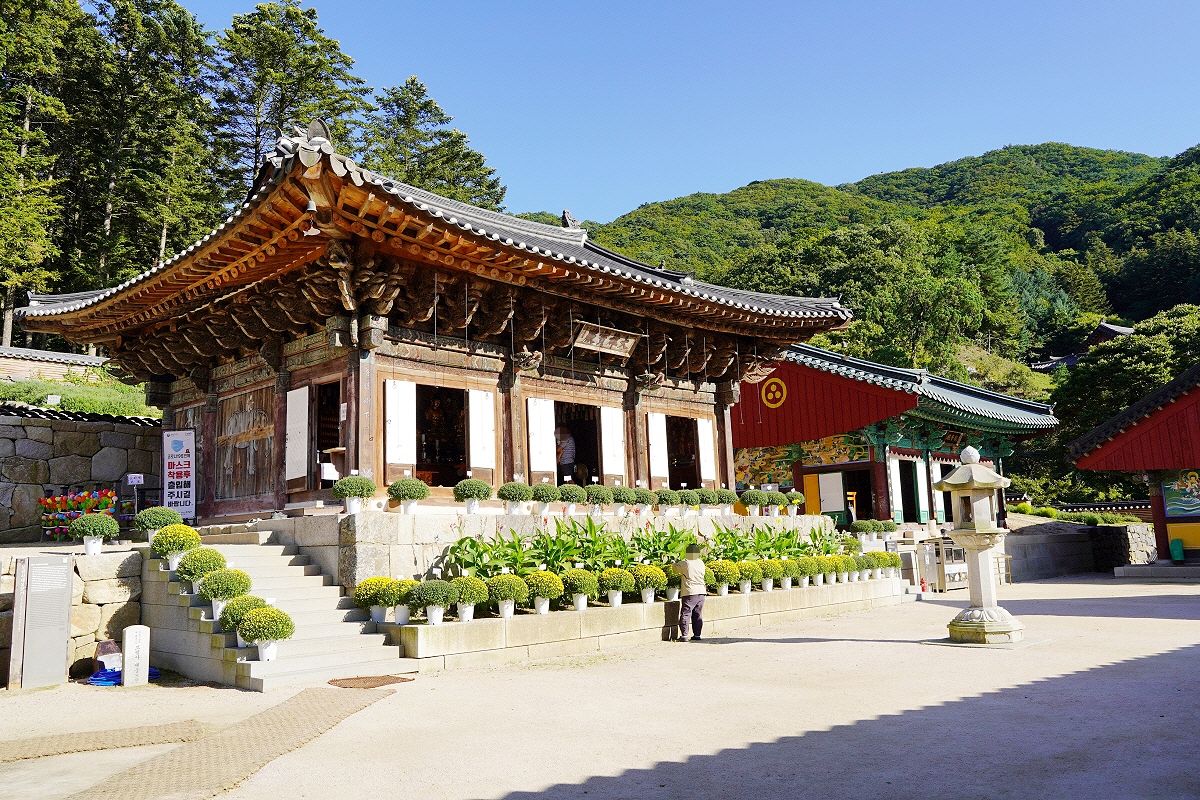 고령산 마곡사