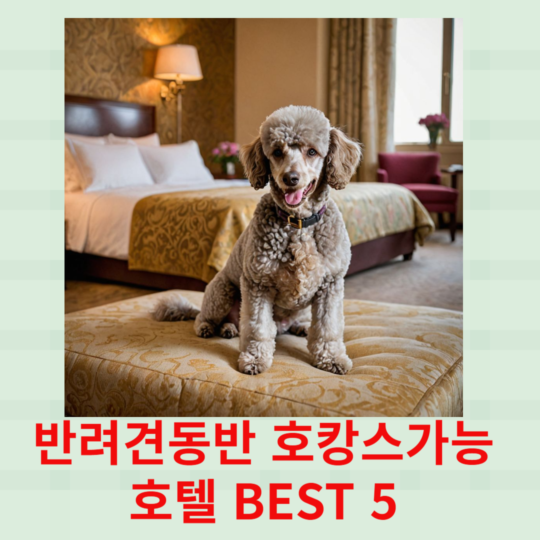 펫캉스 가능한 호텔 BEST 5