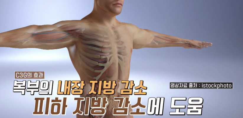 모로실 효능