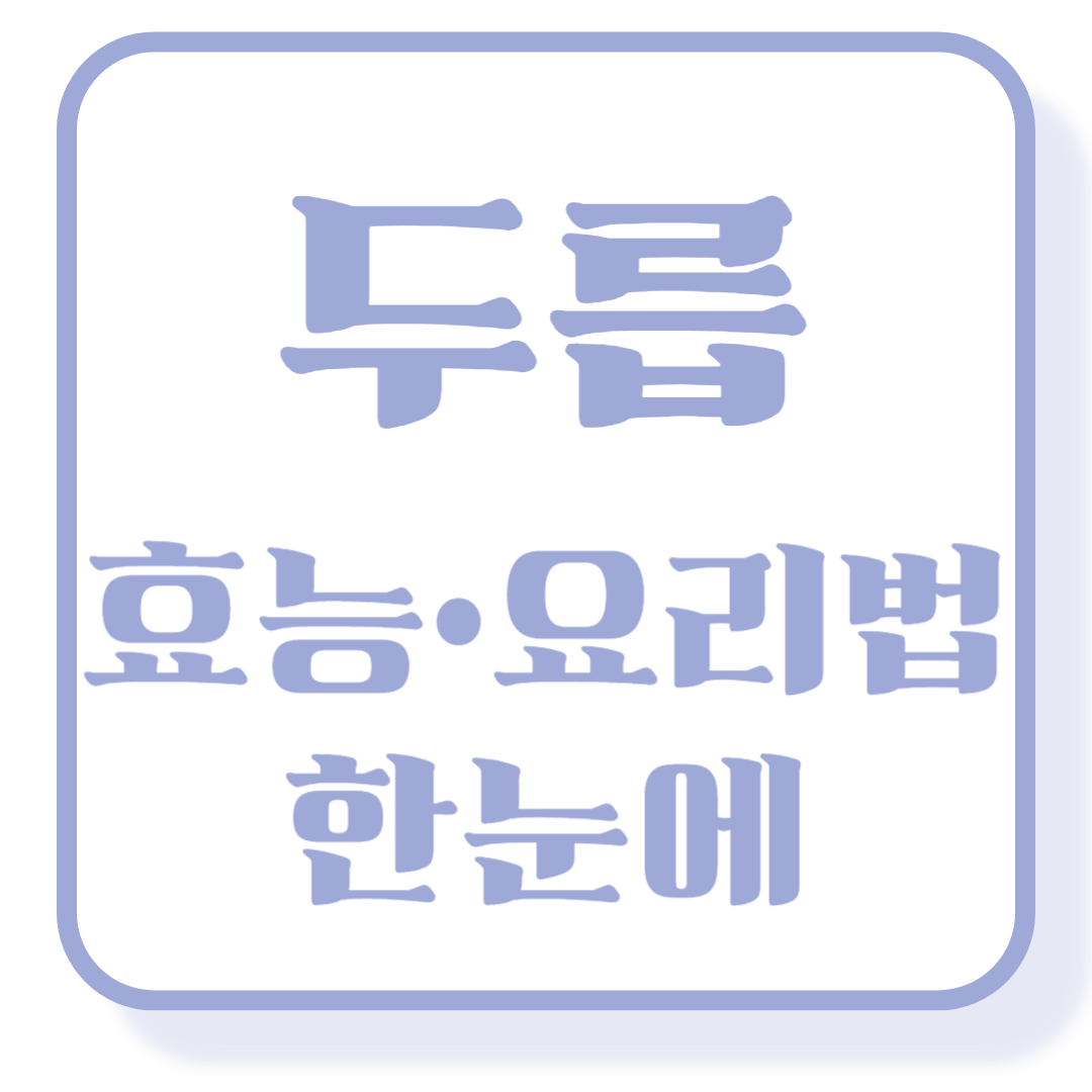 두릅 제철은 언제? 효능과 요리법, 보관 꿀팁까지