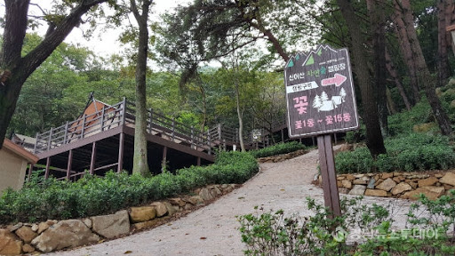 경남 신어산자연숲캠핑장