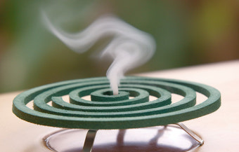 여름철 불청객 모기, 어떻게 쫓을까?