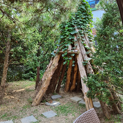 사진14
