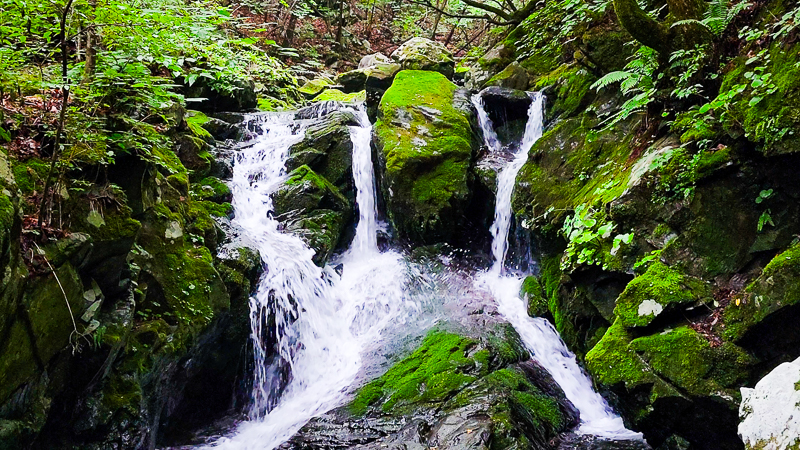 이끼계곡 1폭포