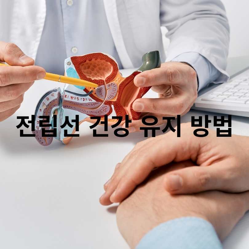 전립선 건강 유지 방법