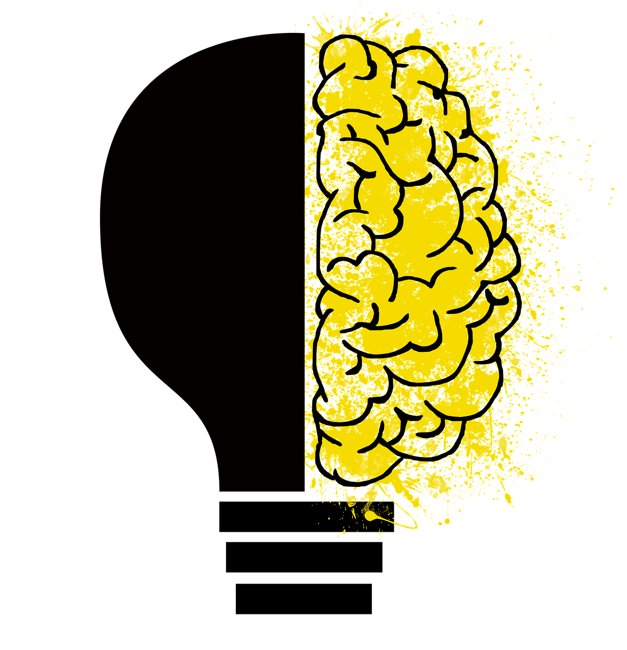 몰입의 뇌과학: 최고의 퍼포먼스를 만드는 뇌의 상태