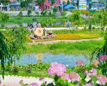 공주 수국축제 유구 색동 수국 정원 꽃축제_4