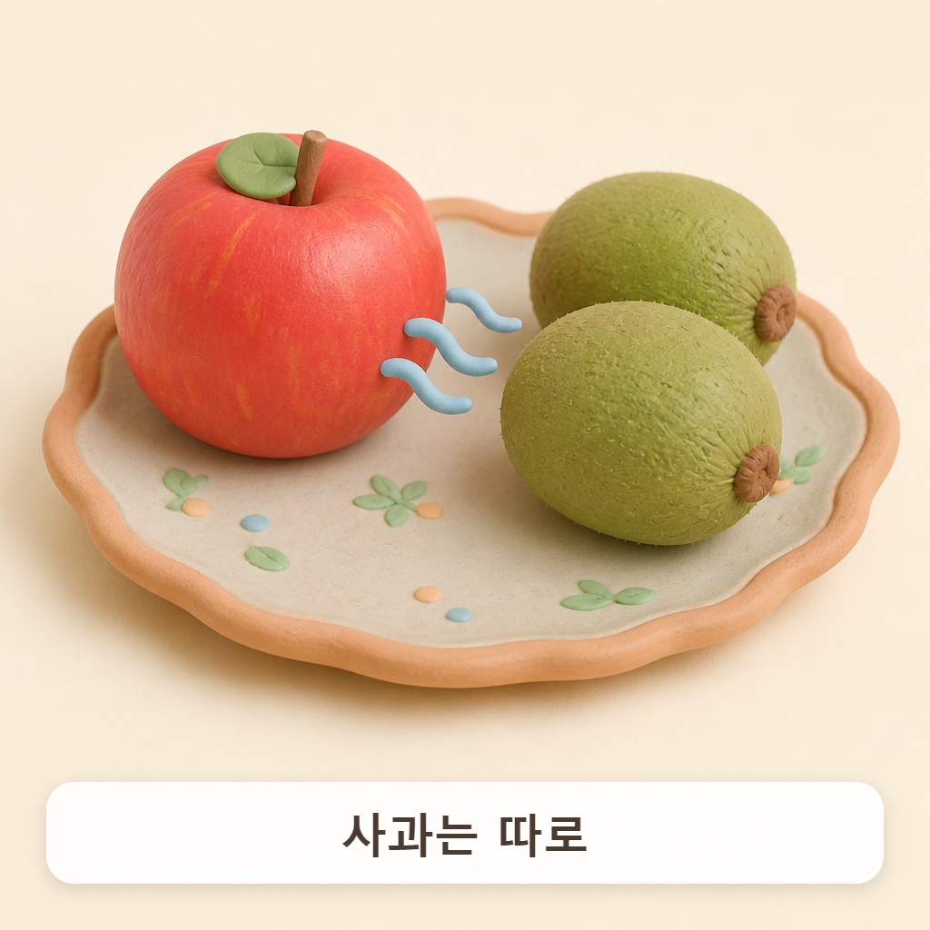 사과 한 알 옆에 덜 익은 초록 키위가 놓인 작은 접시