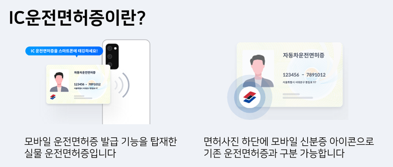 IC칩 운전면허증