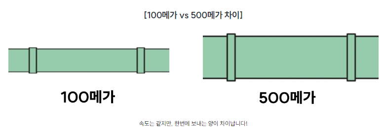100메가 500메가 차이 비교