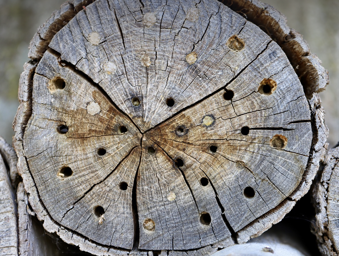 기술과 공감: 디지털 휴먼의 감정 이해 능력