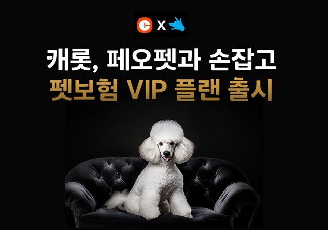 캐롯손해보험 X 페오펫 펫보험 'VIP 플랜' 출시 반려동물 주요 보장 내용 추가 특약 멤버십 혜택