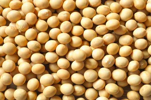 갱년기에-좋은-식품-음식