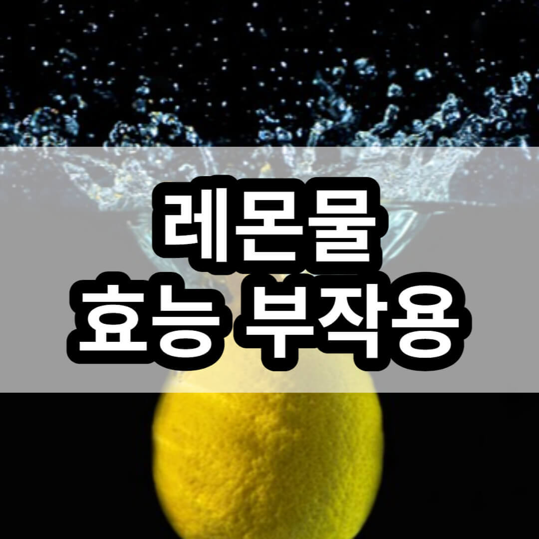레몬물 효능 부작용