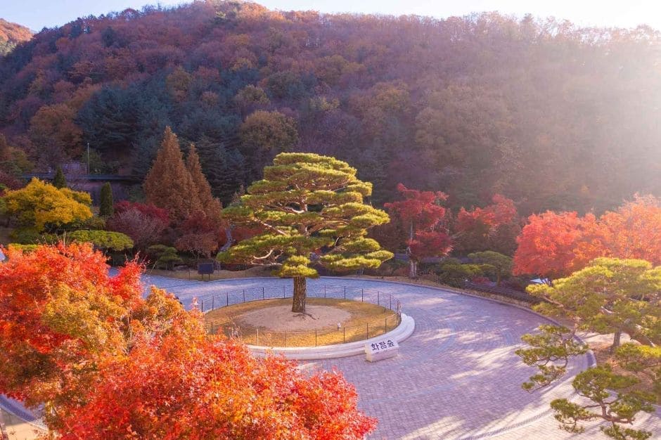 화담숲 방문 후기 2025: 계절별 풍경과 꼭 알아야 할 팁