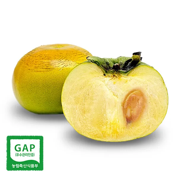 태추단감 이란 아직도 그냥 단감이라고 생각하세요 feat 일반 단감과 완벽 비교 분석으로_9