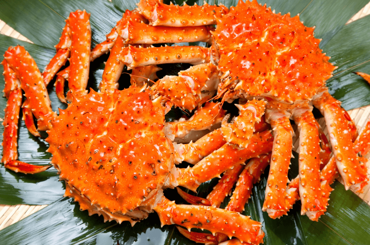 킹크랩 시세 조회