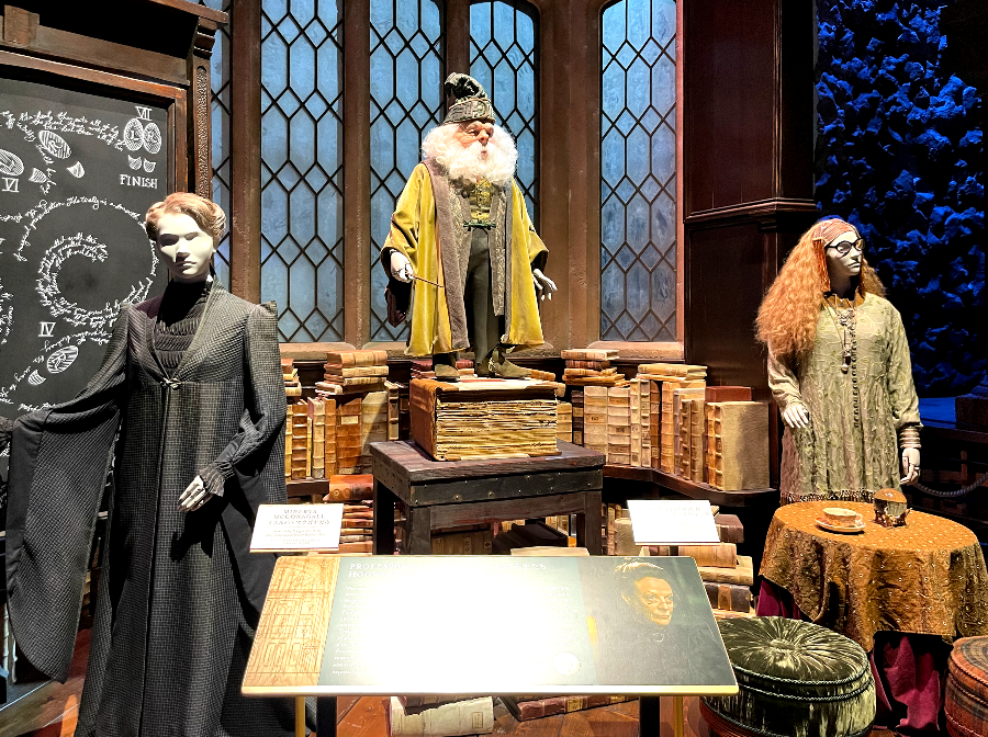 호그와트의 마법 교수