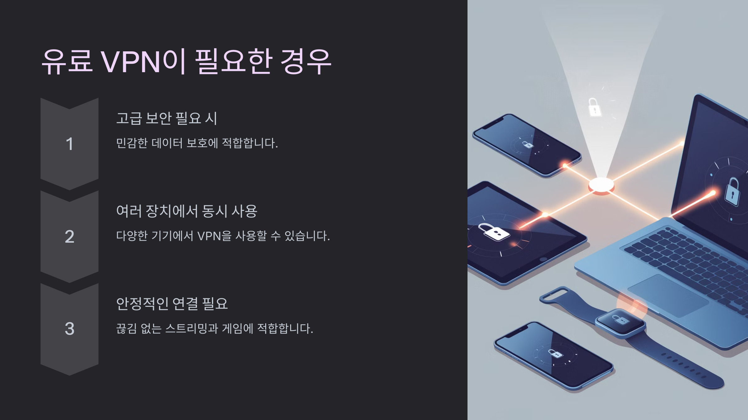 유료 VPN이 필요한 경우