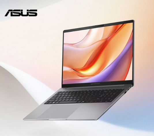 ASUS ExpertBook P3 (PM3606CKA-MB0224)
