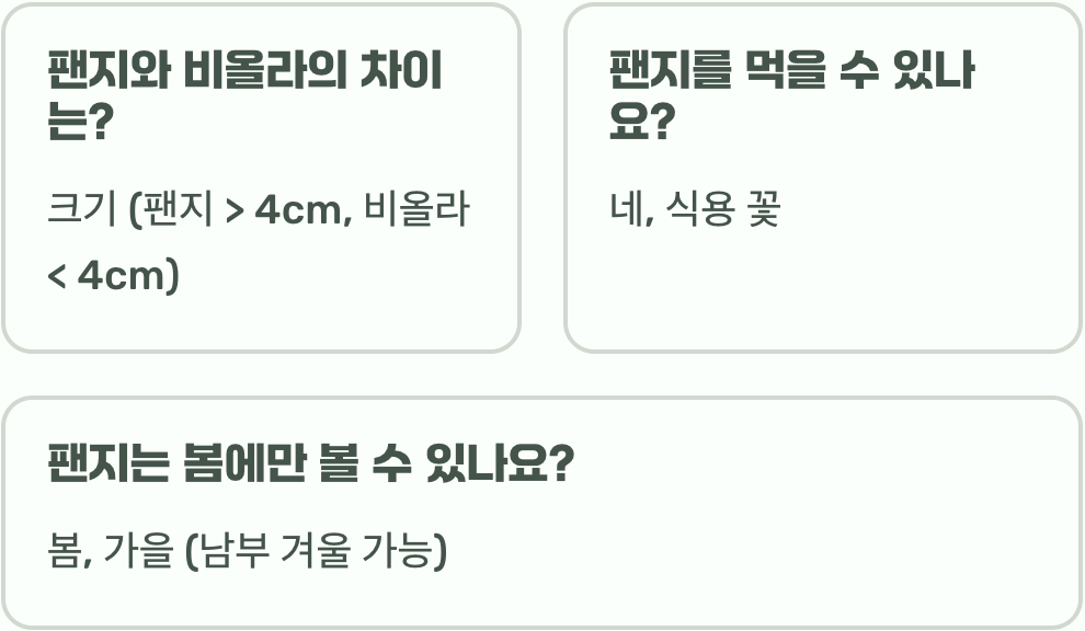 팬지 꽃말과 색상별 의미