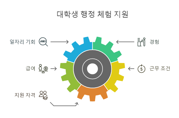 대학생 행정 체험 지원