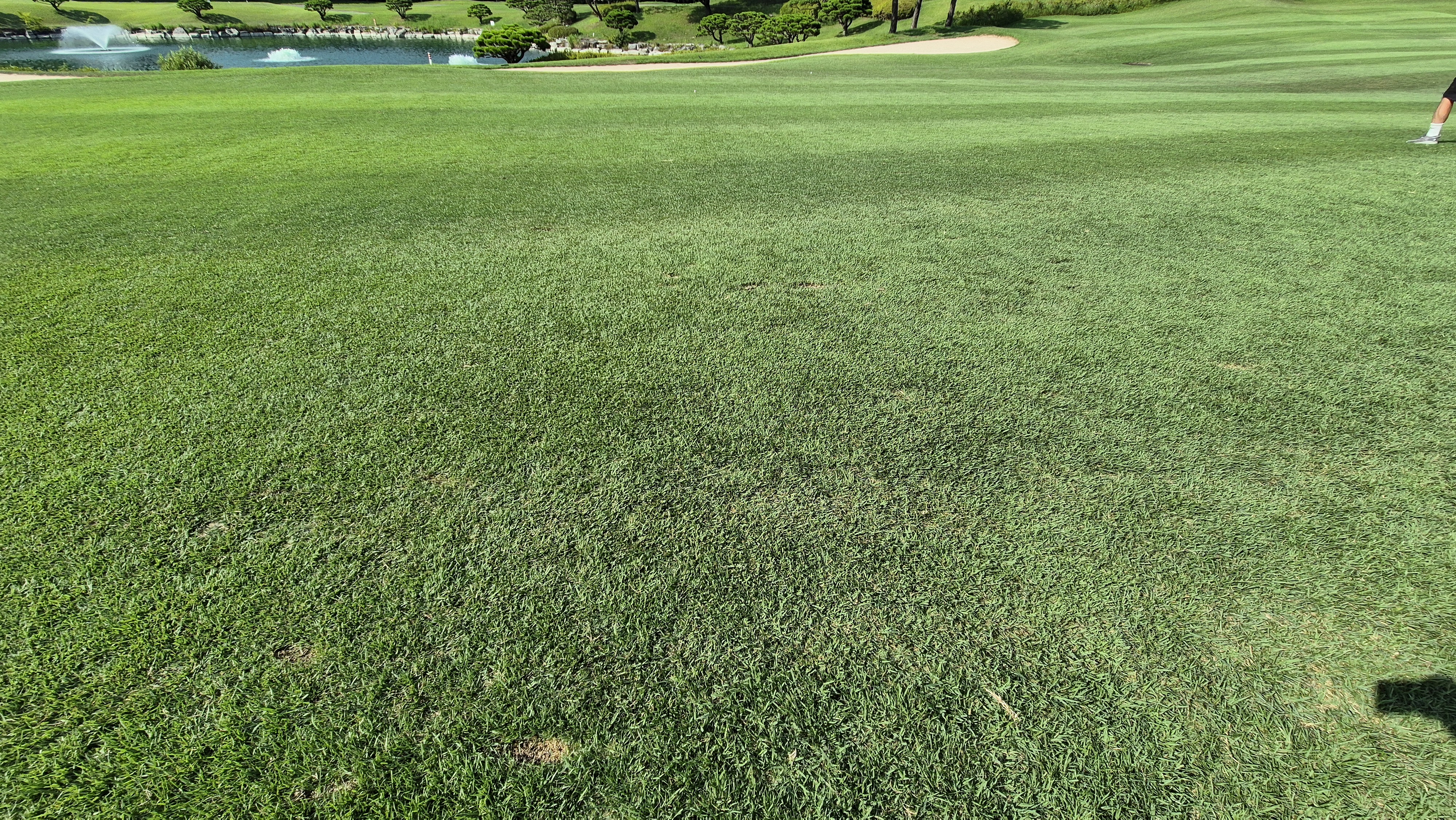 태광cc 북-서 코스 라운드 후기