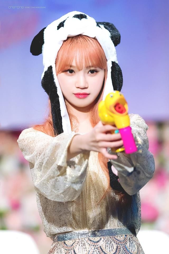김채원 사진 모음 김채원 사진 모음