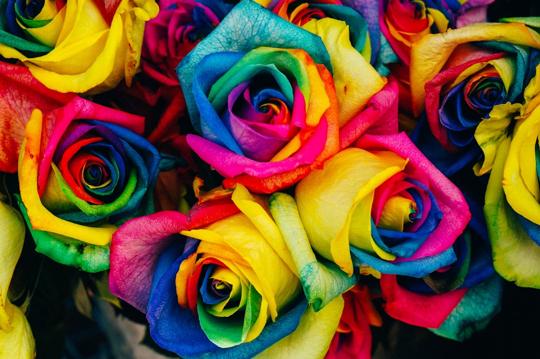 Colorful