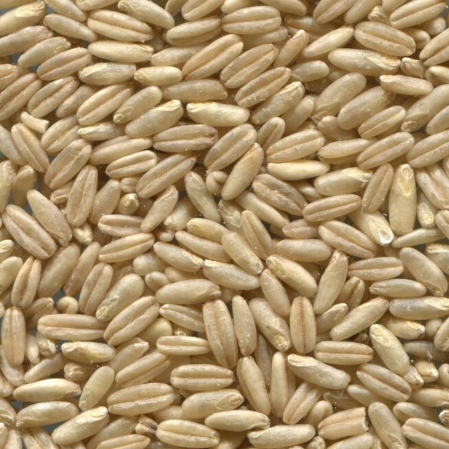 당뇨에 안좋은 음식&amp;#44; 좋은 음식 TOP5 모르면 큰일납니다.