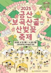 2025 금산 보곡산골 산벚꽃 축제 관련사진