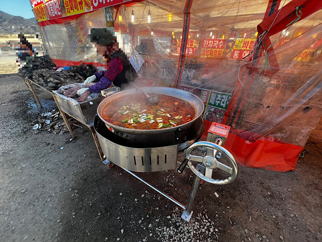 24년 광양 매화 축제 일정 요금 주차