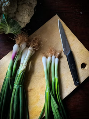 봄 향기 가득한 주말 여행 마무리: 대구 인근 쑥떡 전문점 투어 가이드