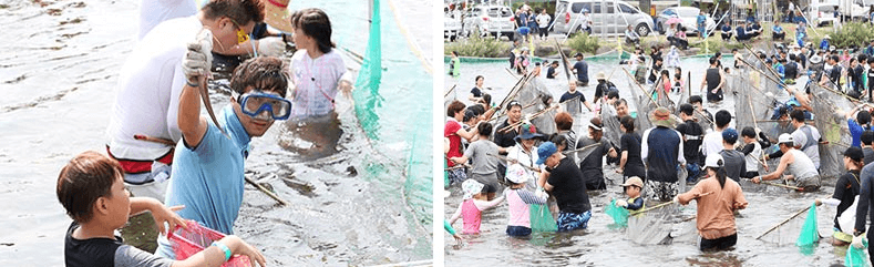 장흥물축제프로그램