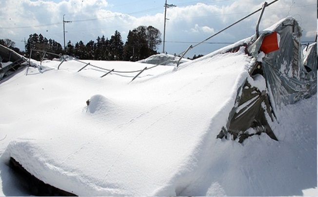 폭설 재난지원금 신청방법
